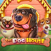 Betify Maison canine pleine de surprises